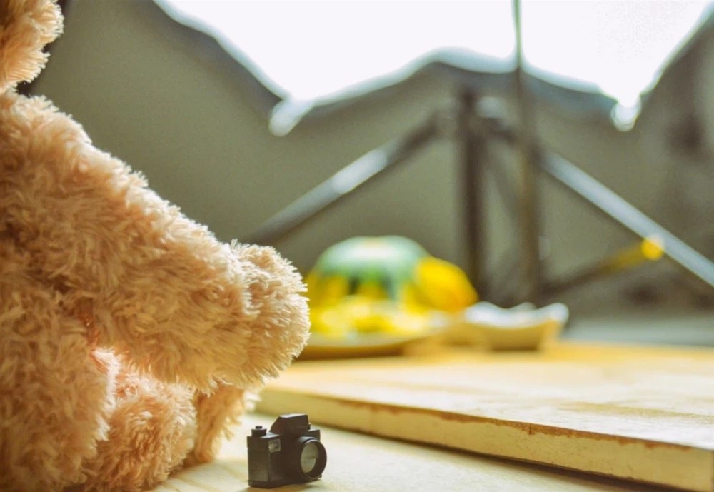 Teddy Bear Hidden Camera Teddy Bear Hidden Camera